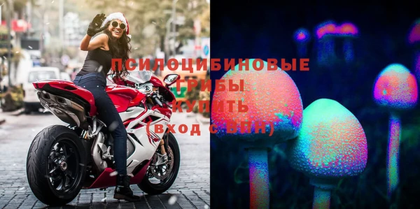 СК Михайлов
