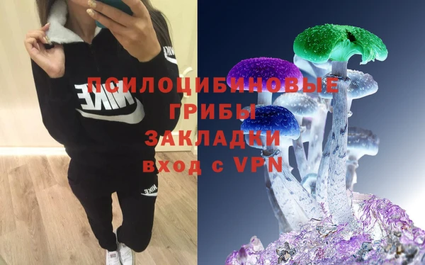 СК Михайлов