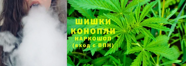 СК Михайлов