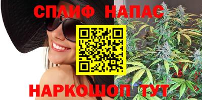 спайс Гай