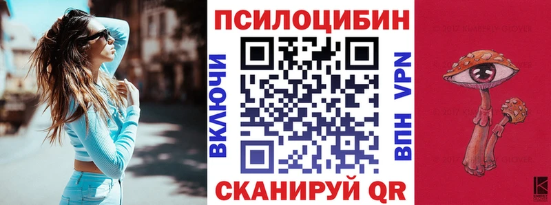 Псилоцибиновые грибы Cubensis  Егорьевск 