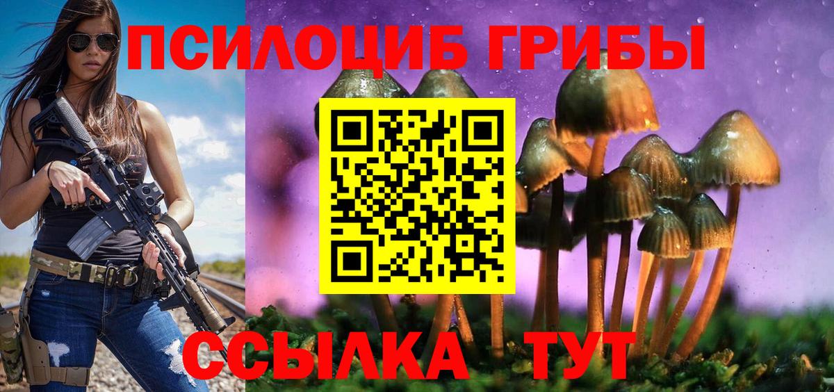 Галлюциногенные грибы прущие грибы Егорьевск