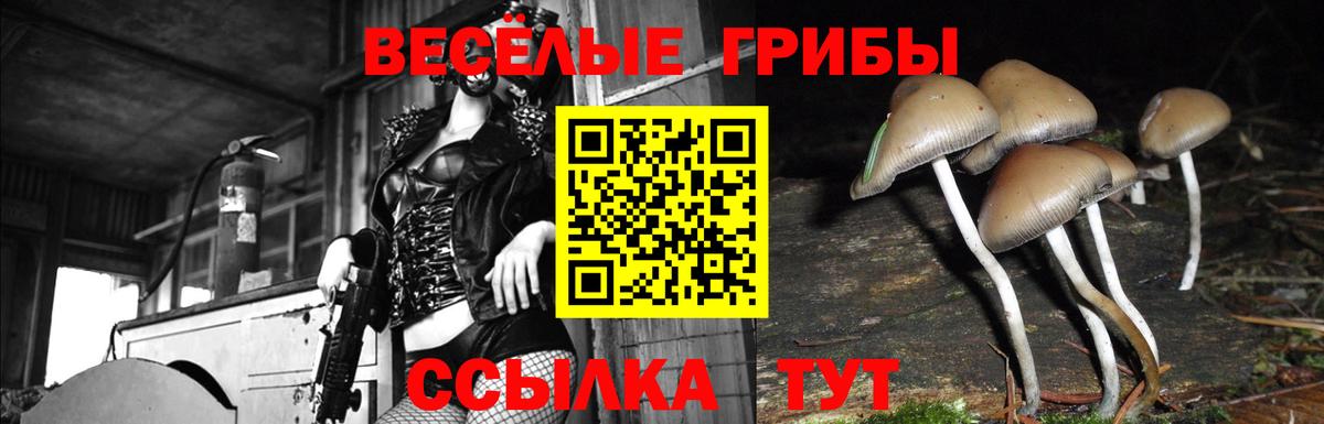 Псилоцибиновые грибы прущие грибы  Егорьевск 