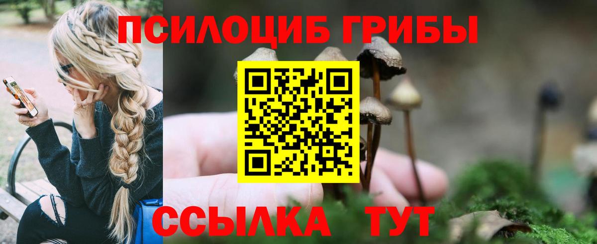 NBOMe Егорьевск